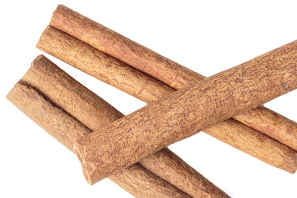 Cinnamon for Mosquito and Big Repellant